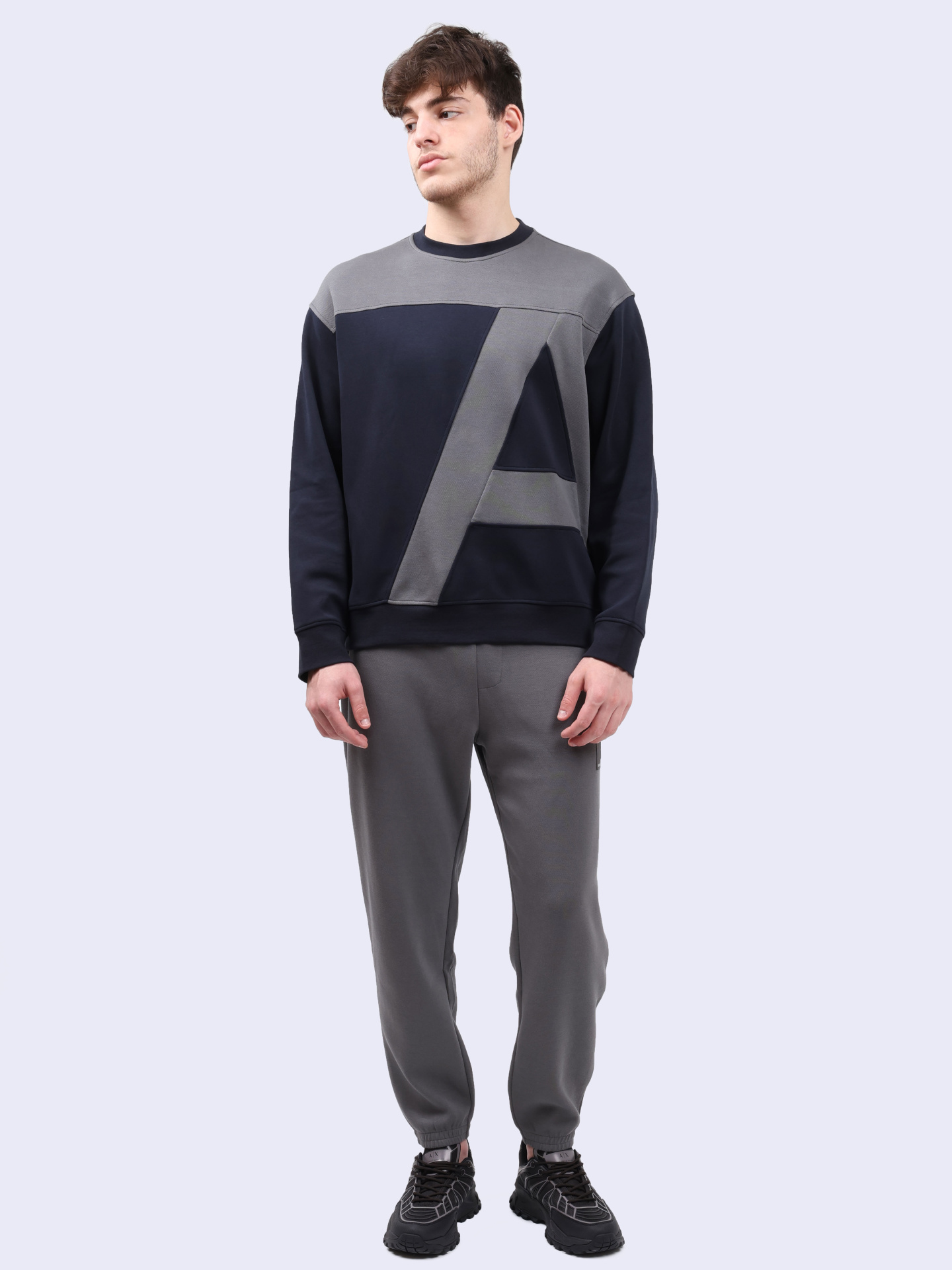 Брюки спортивные Armani Exchange 6DZPJA ZJNKZ 19AC серые мужские — купить в интернет-магазине Verdistore