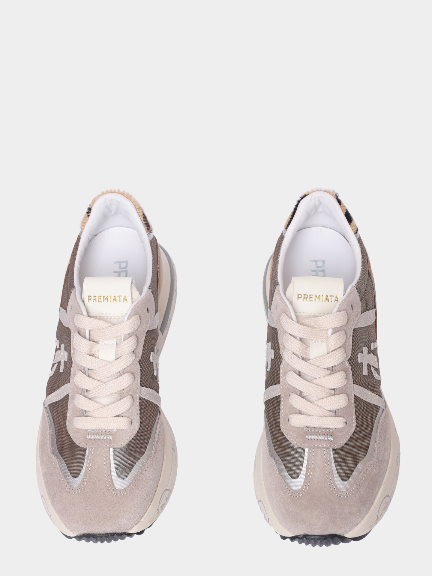 Кроссовки Premiata CASSIE VAR 7675 комбинированные женские — купить в интернет-магазине Verdistore