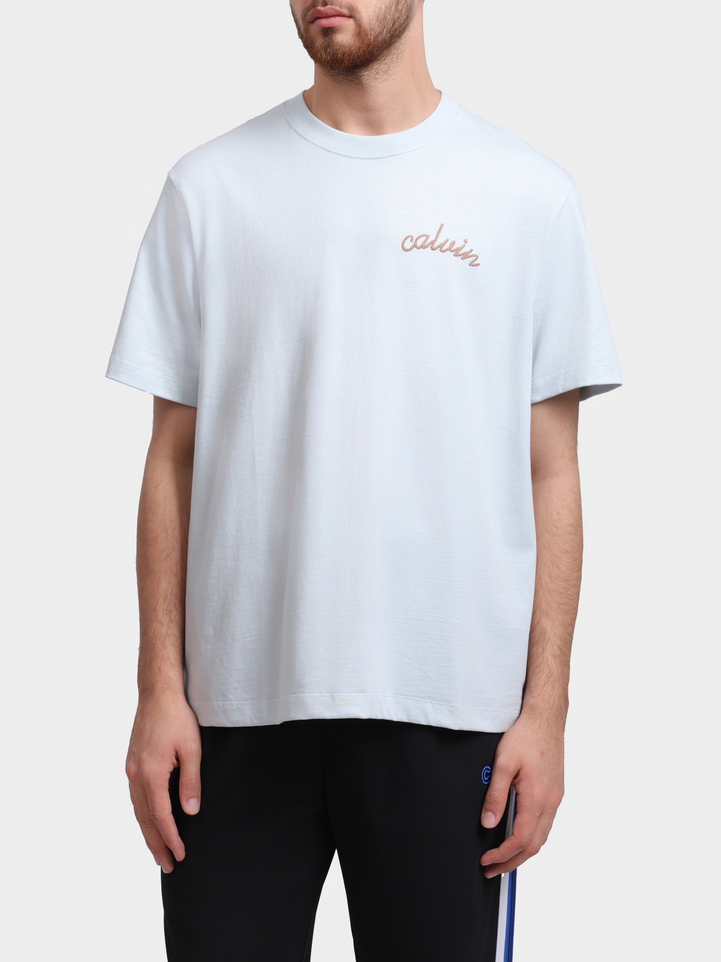 Футболка Calvin Klein Jeans LV04RC226G 6QH светло-голубая мужская с вышивкой на груди — купить в интернет-магазине Verdistore