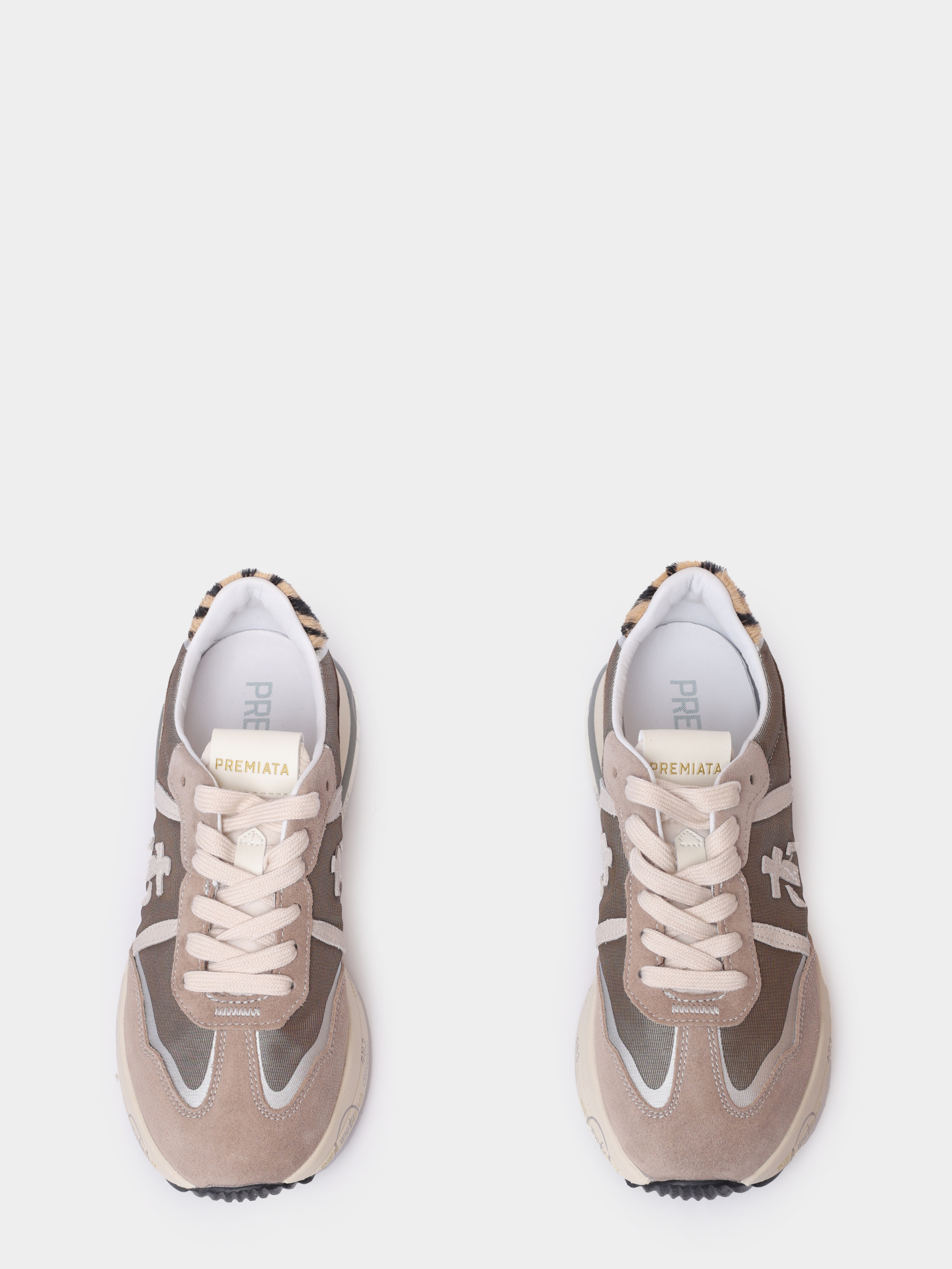 Кроссовки Premiata CASSIE VAR 7675 комбинированные женские — купить в интернет-магазине Verdistore