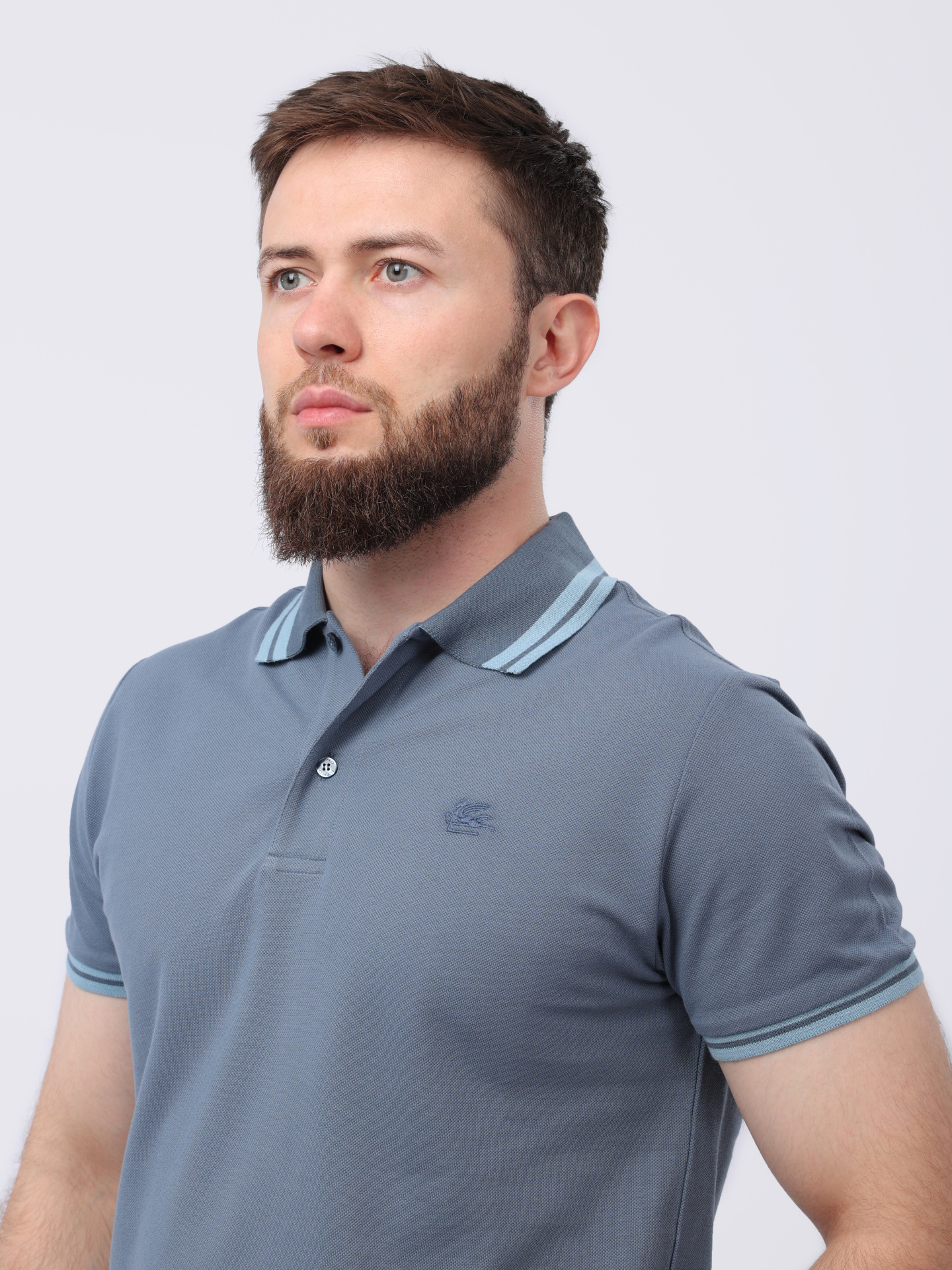 Поло — купить в интернет-магазине Verdistore