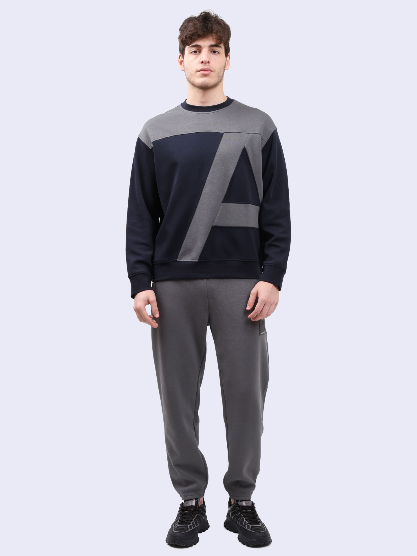 Свитшот Armani Exchange 6DZMJA ZJNKZ 1510 комбинированный мужской — купить в интернет-магазине Verdistore