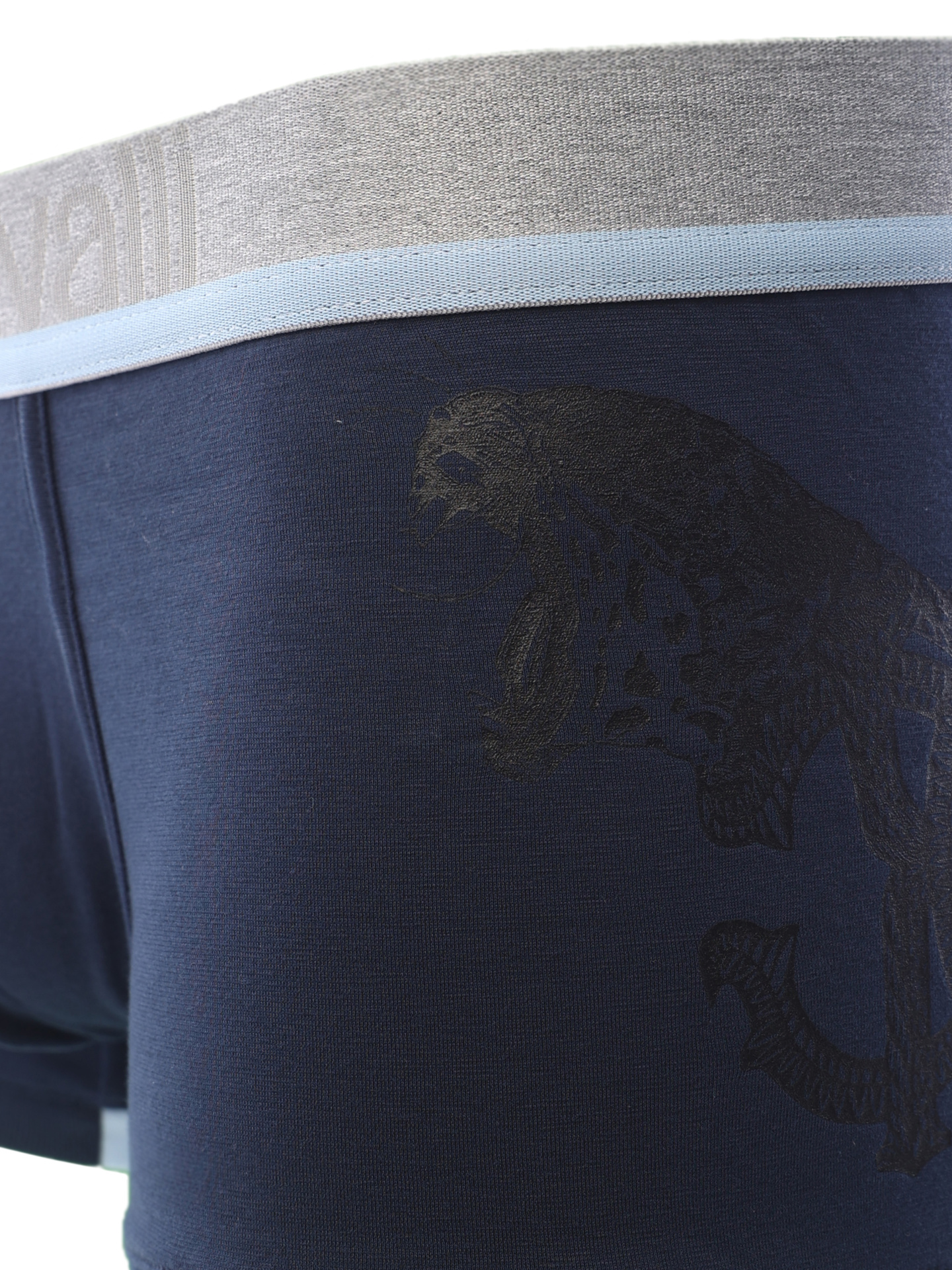 Трусы комбинированные синие с принтом сбоку — купить в интернет-магазине Verdistore