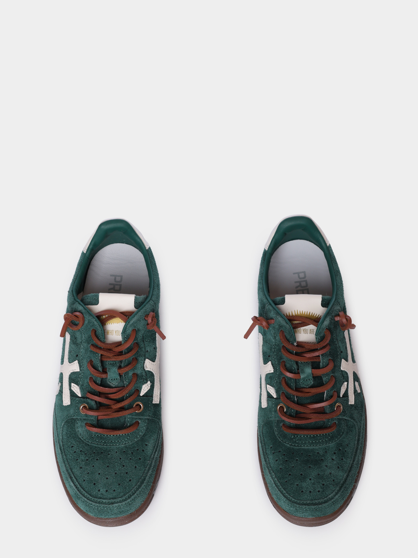 Кеды Premiata BSKTCLAYD VAR 7687 замшевые женские — купить в интернет-магазине Verdistore