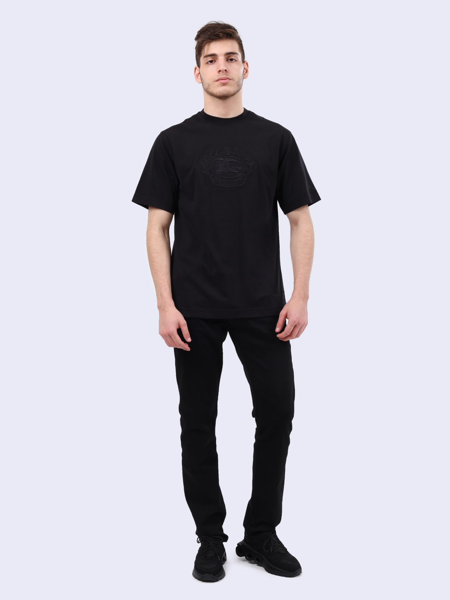 Футболка Burberry 8095104 A1189 хлопковая мужская — купить в интернет-магазине Verdistore