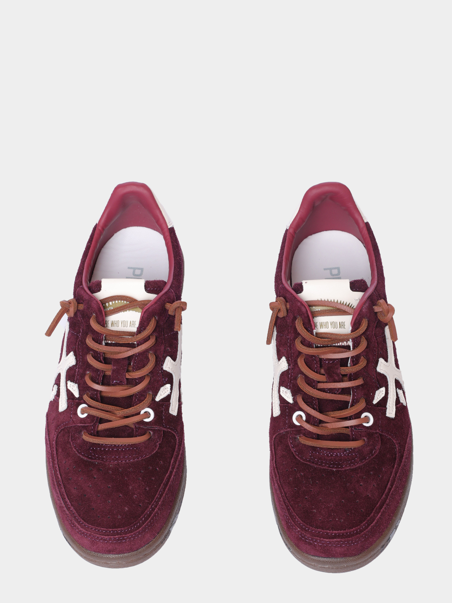 Кеды Premiata BSKT CLAYD VAR 7688 замшевые женские — купить в интернет-магазине Verdistore