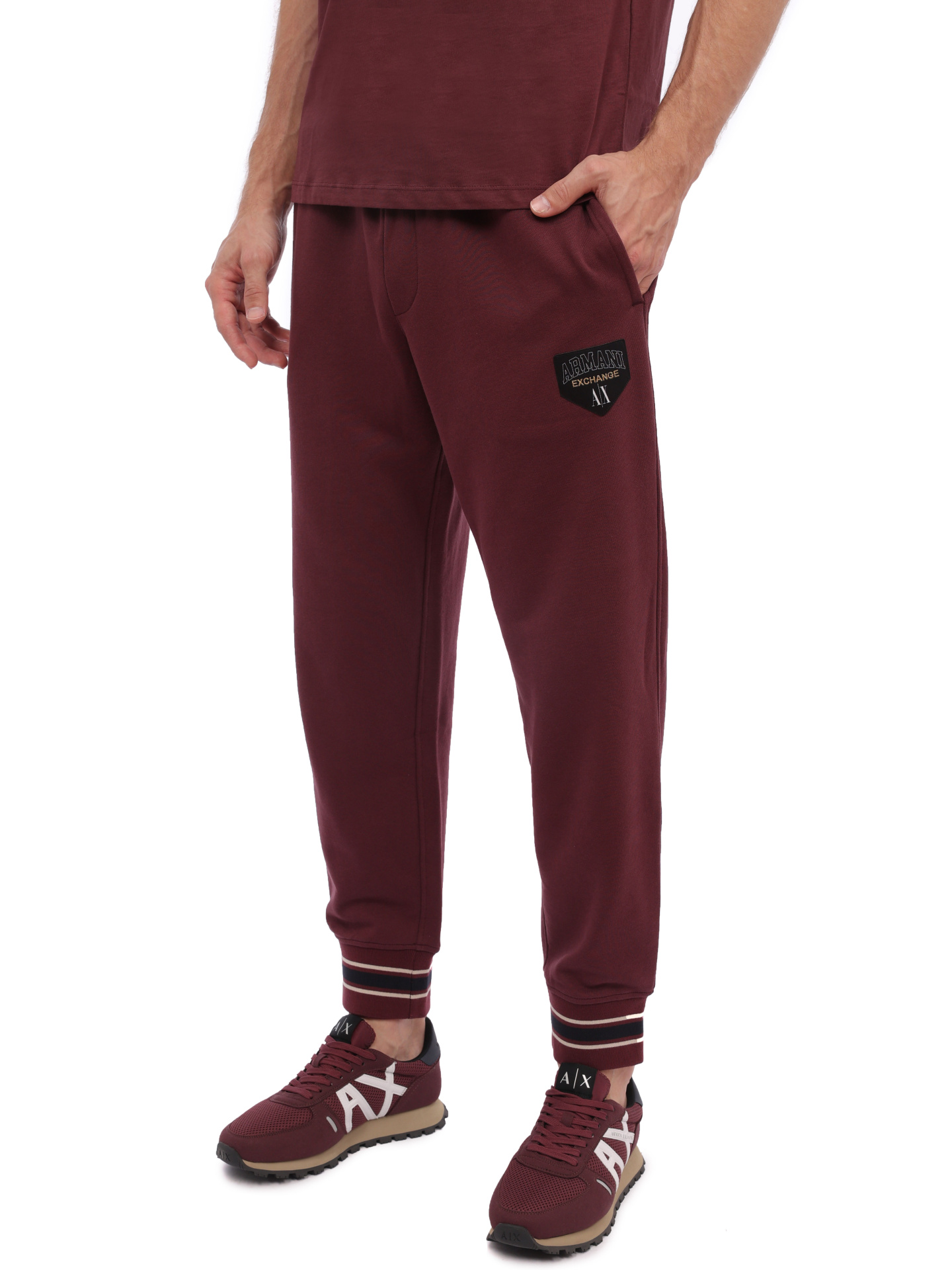 Брюки спортивные Armani Exchange 6RZPJF ZJDHZ 14AU мужские с отделкой в полоску — купить в интернет-магазине Verdistore