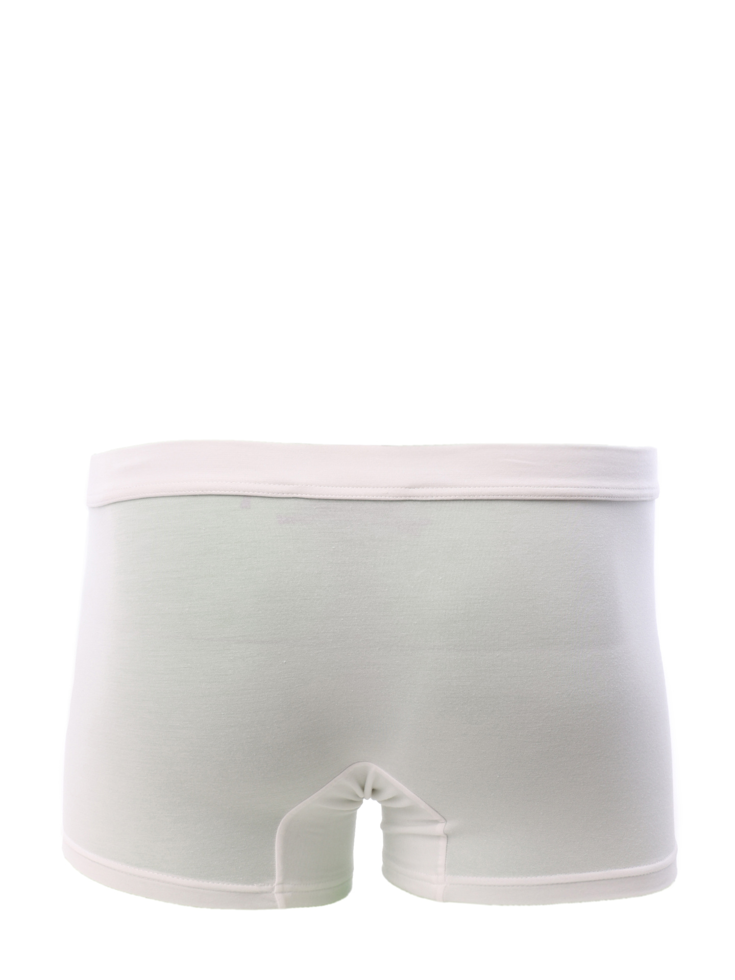 Трусы Ermenegildo Zegna N2LC60020 белые мужские — купить в интернет-магазине Verdistore