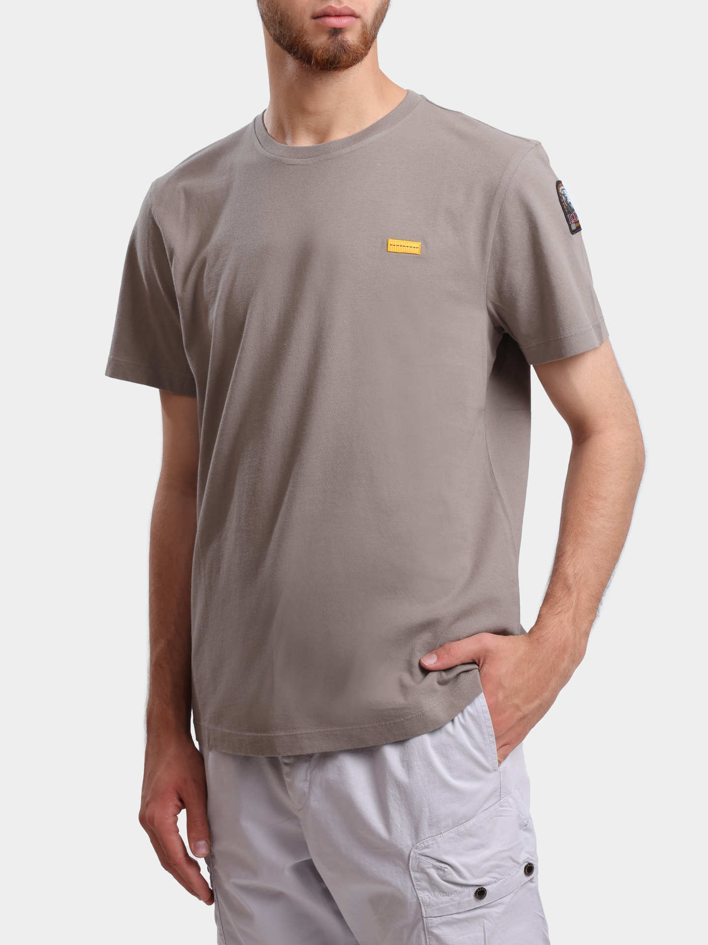 Футболка Parajumpers IT03 ICINIC TEE 0225 хлопковая мужская — купить в интернет-магазине Verdistore