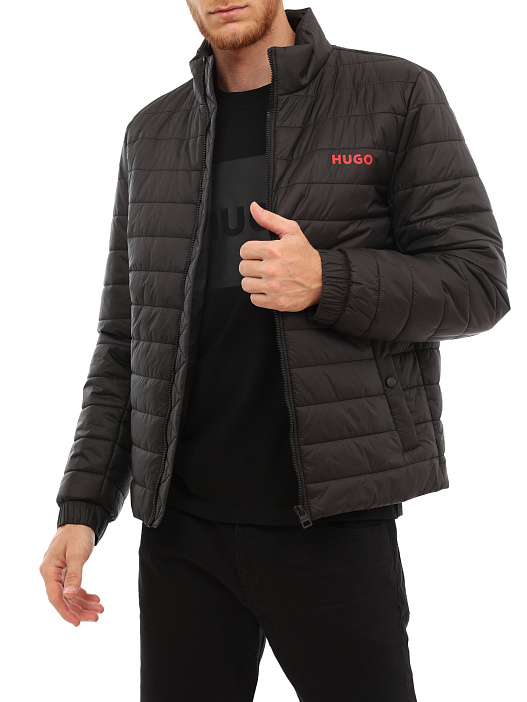 Куртка — купить в интернет-магазине Verdistore
