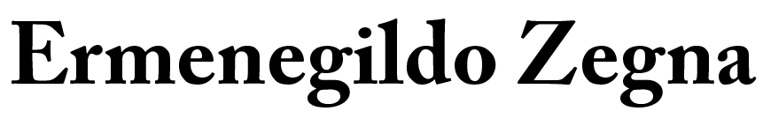 Все товары Ermenegildo Zegna
